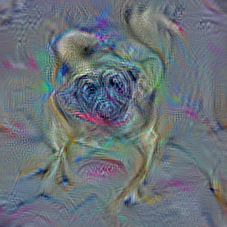 n02110806
